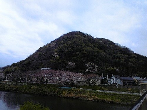b0011980_15293050.jpg