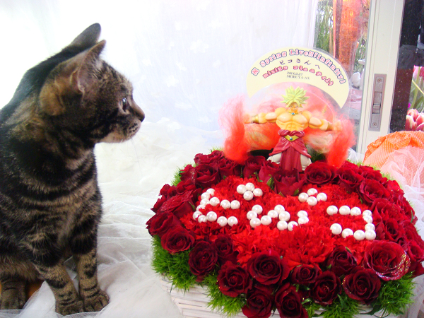 渋谷ＡＸにお届けしたスタンド花と楽屋花のアレンジです。_e0146584_304096.jpg