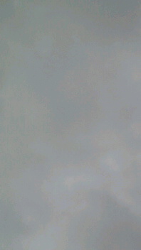 b0134285_1629474.jpg