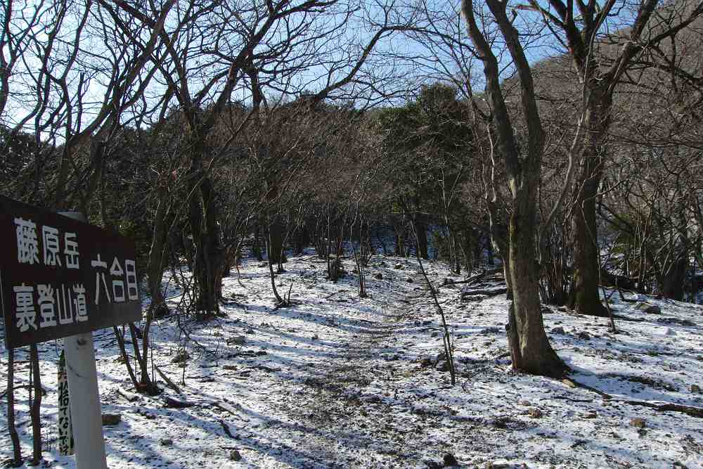 a0152692_21164252.jpg