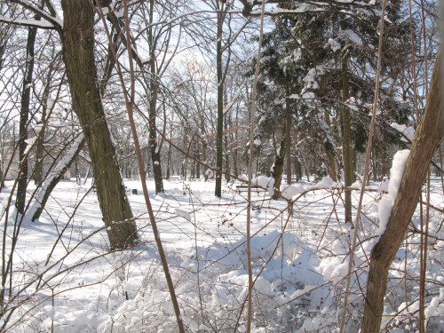 f0129897_8393572.jpg