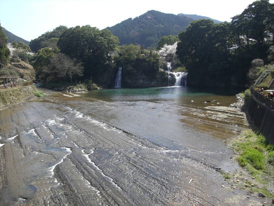 嬉野川　の　桜　！！_a0166904_1513520.jpg