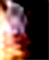 e0103408_12153567.gif