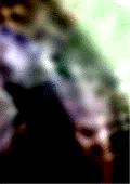 e0103408_12155881.gif