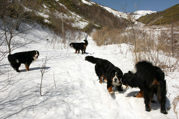 March 22, 2010／雪山ハイキング_f0137508_16264375.jpg