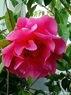 b0099813_0255346.jpg