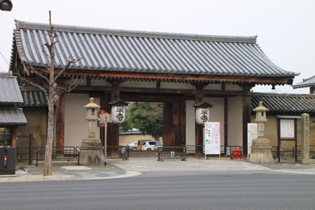 東寺でも咲き始めた_e0048413_2174259.jpg
