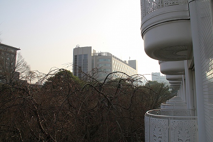 f0191413_10421993.jpg