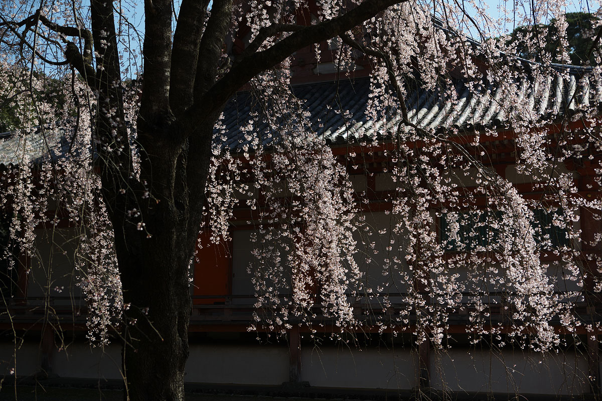 c0115616_186251.jpg