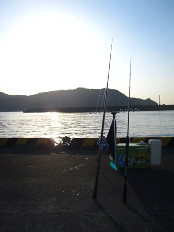 嫁 良形ゲット 紀伊長島 錦で投げ釣り あっち向いてhoy 嫁 良形ゲット 紀伊長島 錦で投げ釣り あっち向いてhoy