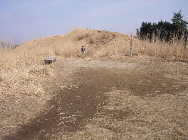 c0029332_22204664.jpg