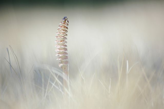 f0145933_20344143.jpg