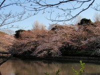 c0097838_1522056.jpg