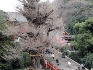 c0097838_15595974.jpg