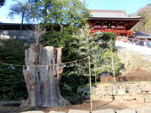 c0097838_1624114.jpg