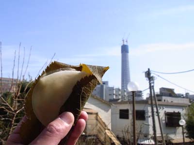 朝酒に始まり、向島芸者衆に酔った桜咲く土曜日。_b0019140_15132411.jpg