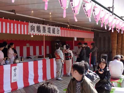 朝酒に始まり、向島芸者衆に酔った桜咲く土曜日。_b0019140_1513681.jpg