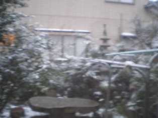 雪～？！_c0084740_22453999.jpg