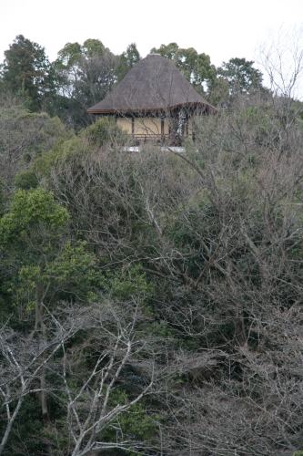 c0196340_21465146.jpg