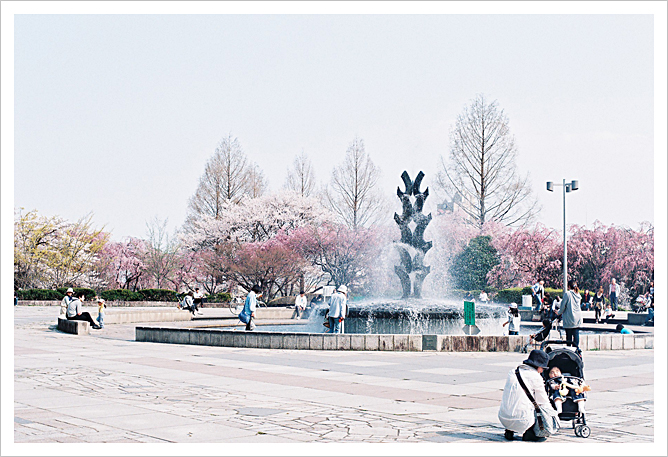 桜の季節…_b0049843_2243158.jpg