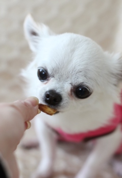 クッキーを焼きました。_e0168447_058895.jpg