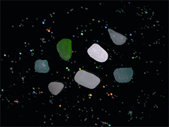 e0005548_0244138.gif