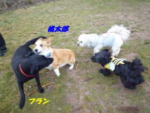 高山のドックランとお宿！_a0130451_20141217.jpg