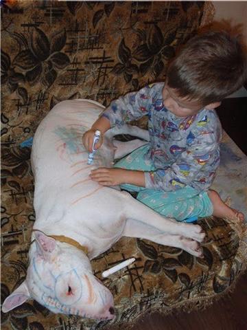 Do not let children play with dangerous dogs‏_c0078451_3211715.jpg