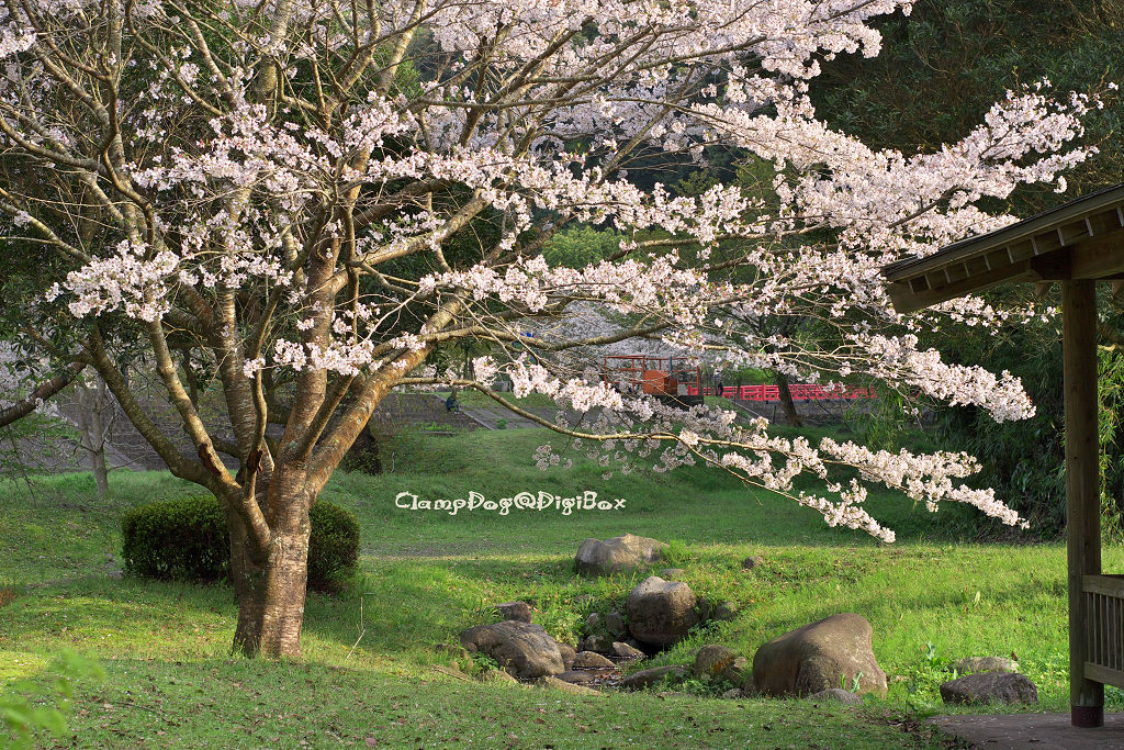 岩屋公園Ⅱ_f0088058_2325132.jpg