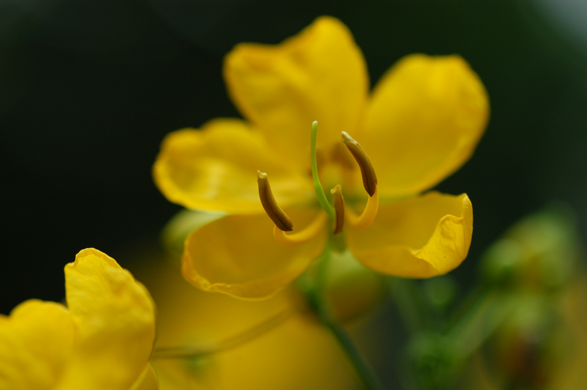 a0169060_22102471.jpg