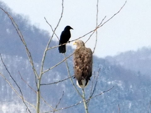 b0165760_2113421.jpg
