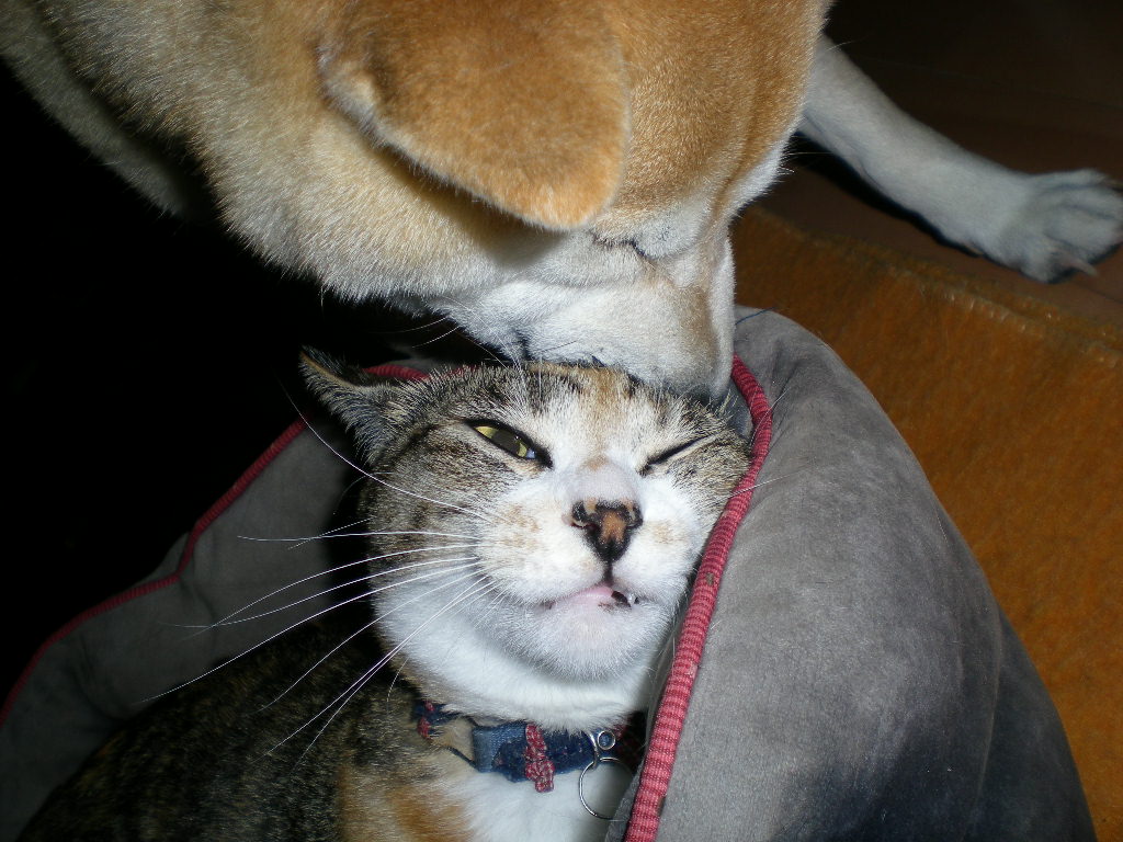 2010年3月29日(月)愛ちゃんは耳フェチ?_f0060461_10112654.jpg