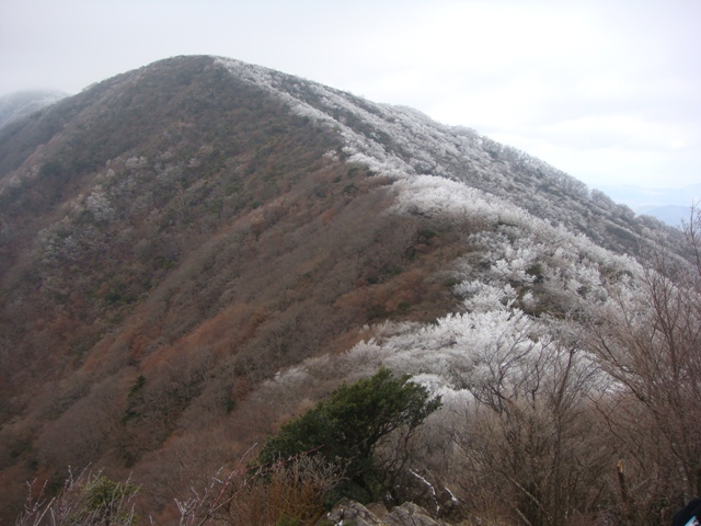 霧氷 の天城山を歩く_d0032262_830676.jpg