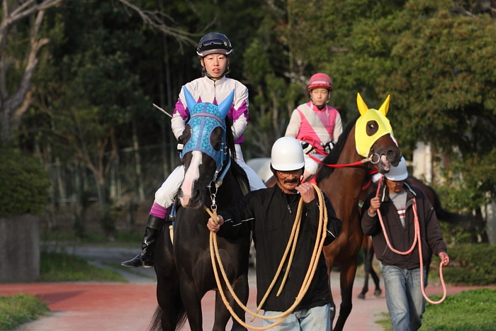 2010年3月22日(月) 高知競馬 7R 四国馬事協議会協賛 頑張れ高知けいば特別 E3_a0077663_16421874.jpg