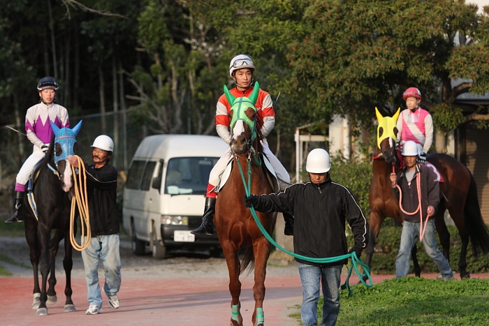 2010年3月22日（月） 高知競馬 7R 四国馬事協議会協賛 頑張れ高知けいば特別 E3_a0077663_1642279.jpg