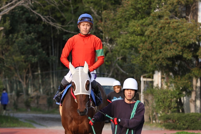 2010年3月22日（月） 高知競馬 7R 四国馬事協議会協賛 頑張れ高知けいば特別 E3_a0077663_1642479.jpg