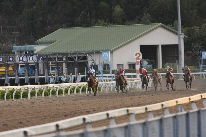 2010年3月22日（月） 高知競馬 7R 四国馬事協議会協賛 頑張れ高知けいば特別 E3_a0077663_16431149.jpg