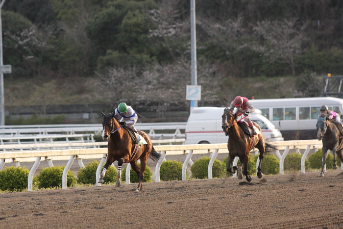 2010年3月22日（月） 高知競馬 7R 四国馬事協議会協賛 頑張れ高知けいば特別 E3_a0077663_16433451.jpg