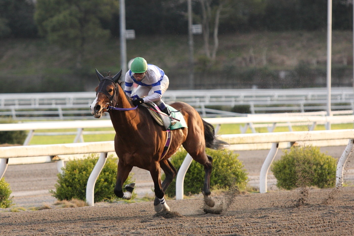2010年3月22日(月) 高知競馬 7R 四国馬事協議会協賛 頑張れ高知けいば特別 E3_a0077663_16502354.jpg