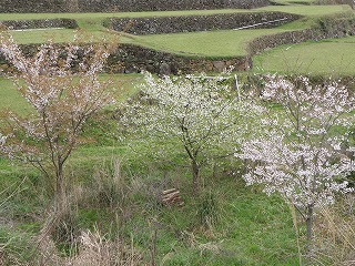b0061863_6481283.jpg