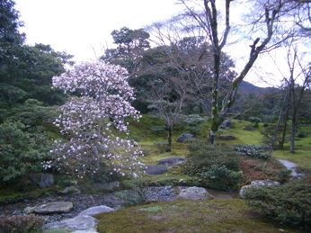 京都２、修学院離宮_f0195963_9383032.jpg