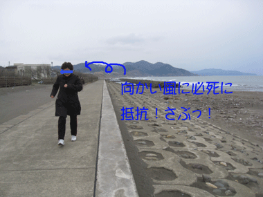 冬に逆戻り？！_d0050871_10301256.gif