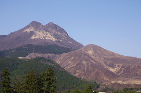 c0116472_23878.jpg