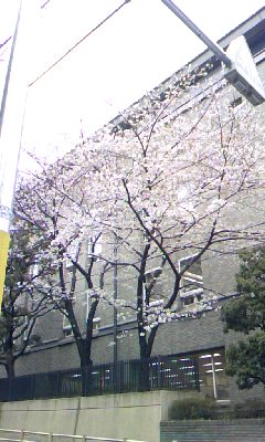 東京に来ました。_d0101676_15584364.jpg