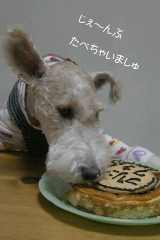 c0070377_225410100.gif