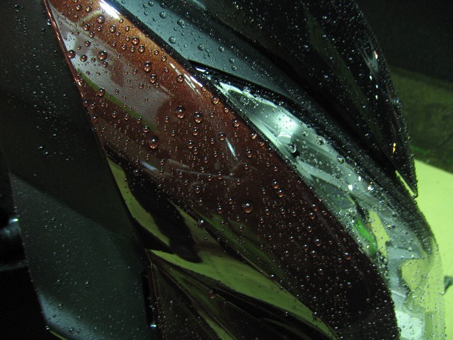 e0060178_2051472.jpg