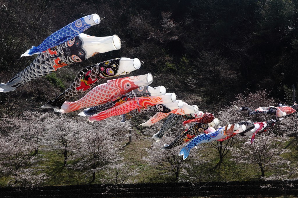 山に暮らせば_e0091879_0491229.jpg