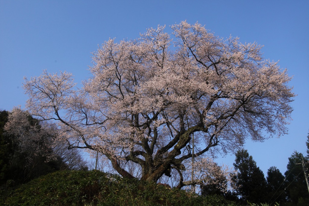 山に暮らせば_e0091879_0503958.jpg