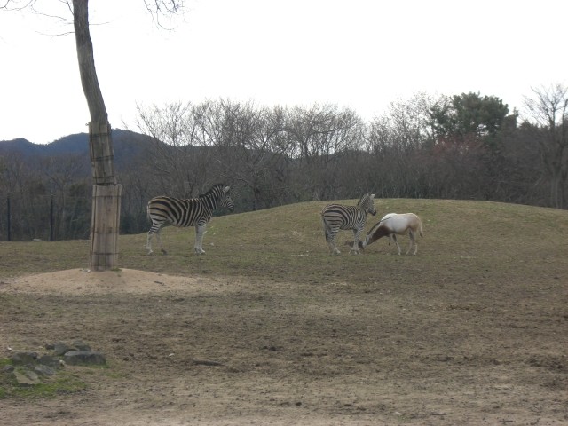 遠足。_a0164280_23322831.jpg
