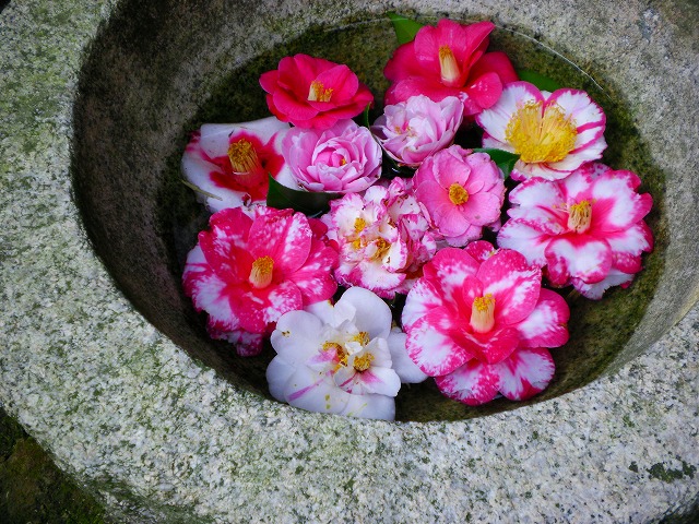a0082884_1215279.jpg